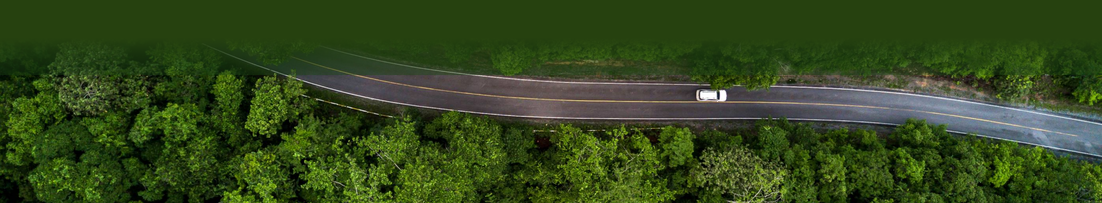 Sustentabilidade automovel